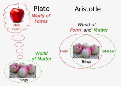 Aristotle's Theory Of Universals, HD Png Download , Transparent Png ...