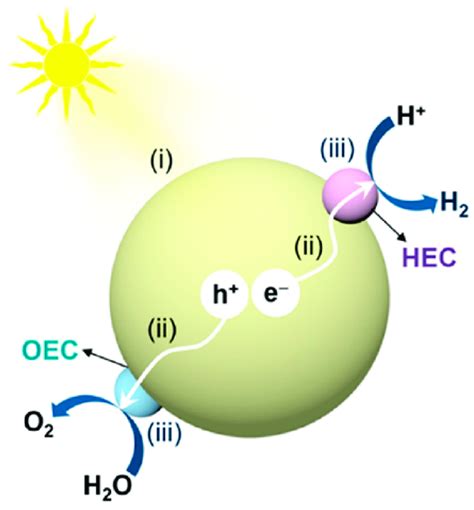 The basic principle of the water splitting reaction in which (i) light... | Download Scientific ...