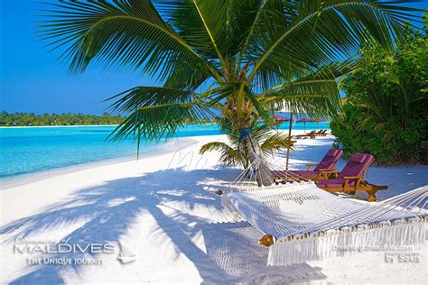 50 Photos of Paradise Beaches from the Maldives Islands