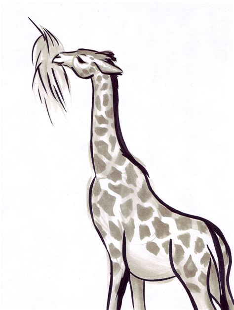 Steftacular's Blog: Animal Gesture Drawings from the LA Zoo