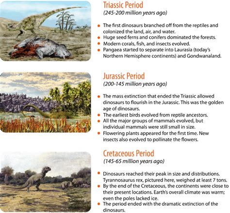 Mesozoic Era - The Age of Dinosaurs ( Read ) | Biology | CK-12 Foundation