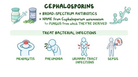 Antibiotics - Cephalosporins - Osmosis Video Library