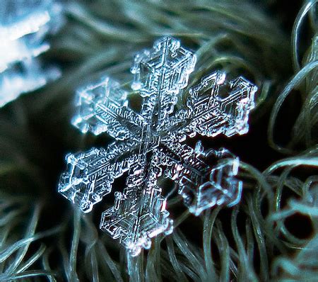 Stunning snowflakes photographs – Vuing.com