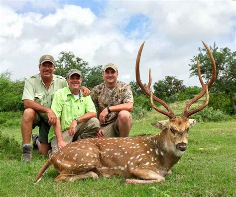 texas-axis-hunts - OX Ranch