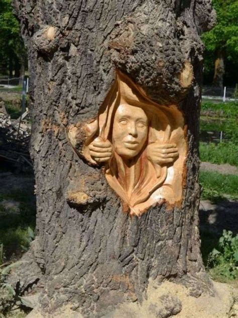 12+ Impressive Wood Carving Into Tree Stumps Collection | Tree art, Wood carving art, Tree sculpture