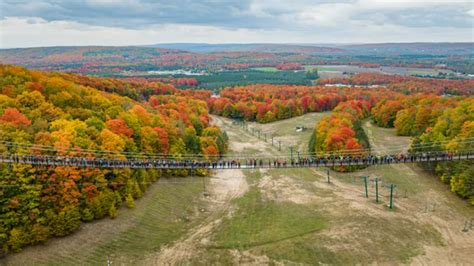 World’s longest timber-towered suspension bridge opens to daring sightseers in Michigan | Fox ...