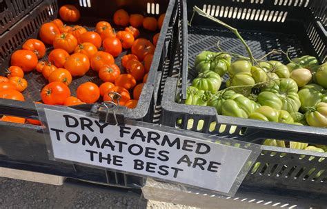 Dry farming could help agriculture in the western U.S. amid climate change