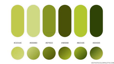 Green Tea Colors - Aesthetic Color Palette