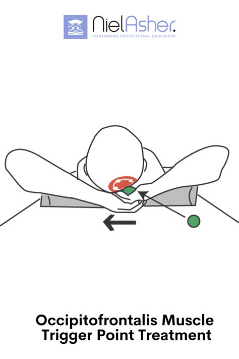 Trigger point therapy superficial muscles of the foot – Artofit