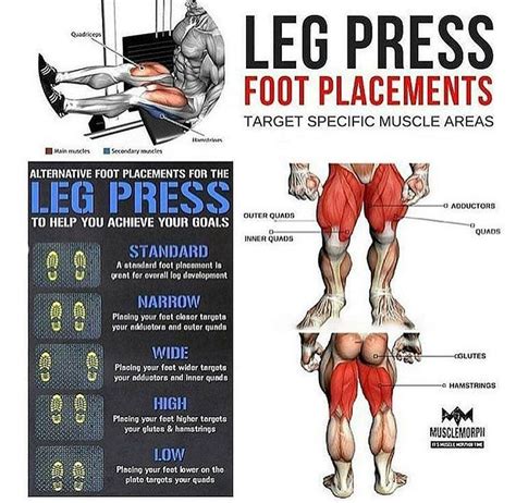 Change Leg Press Foot Variations | Leg press workout, Leg press, Exercise