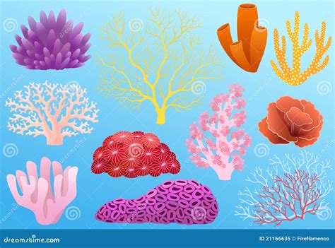 Corals Royalty Free Stock Photo - Image: 21166635