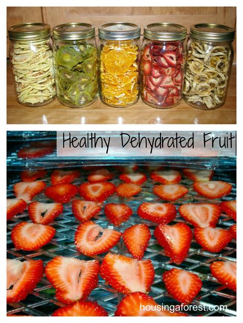 Dehydrated Fruit Snacks