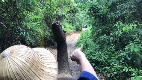 POV riding our elephant at the Phang Nga Elephant Sanctuary near Phuket ...