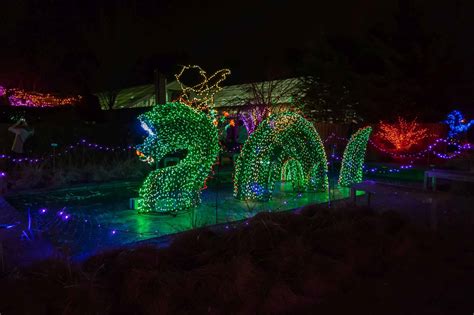 Discover Brookside Gardens' Christmas Lights Display