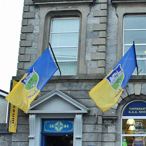 2021 County Tipperary Flag Irish State County Flag 3x5FT Banner 100D 150X90CM Polyester Brass ...