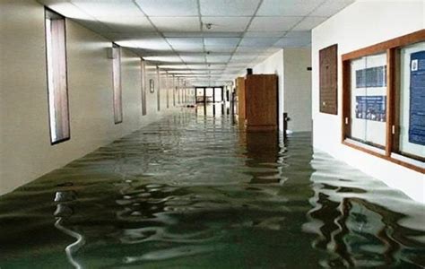 All That You Need To Know About The Services Of A Flood Damage Restoration Firm - Creative Home Idea