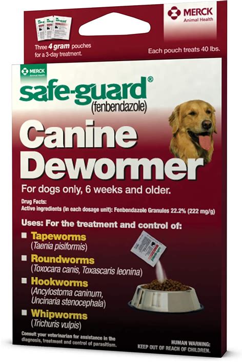 The 8 Best Dewormers For Dogs