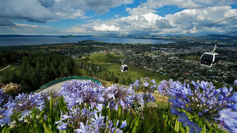 Skyline Rotorua Luge and Gondola | Rotorua NZ