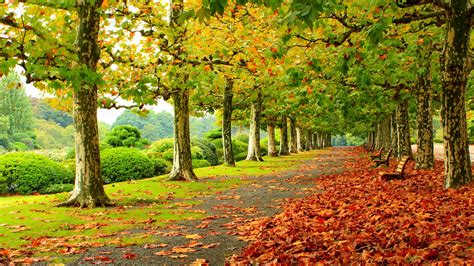 Autumn Scenery Wallpapers, Pictures, Images