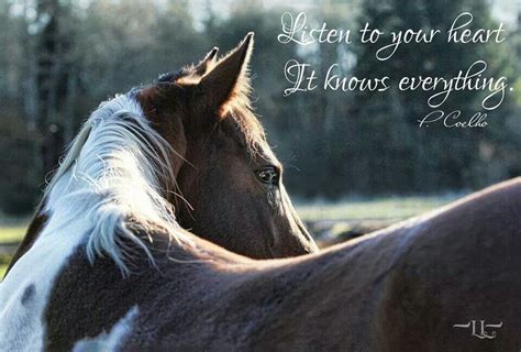 Horse Quote: Some of us have never out grown the "I love horses" phase. Description from ...