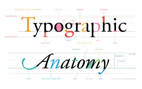 Letterforms: Typographic Anatomy — Studio Chavelli: Calligraphy ...