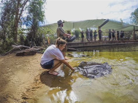 A Guide To Visiting The Territory Wildlife Park From Darwin, Australia