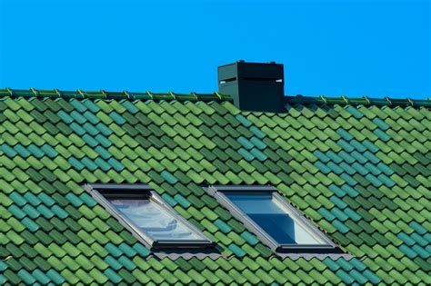 Tile Roof Repair : Tips and Techniques. The Ultimate Guide - Absolute ...