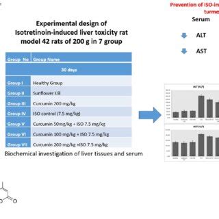 Diagram of experimental design. | Download Scientific Diagram