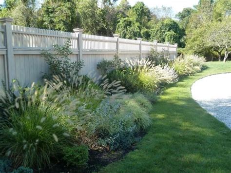 13 Best Ornamental Grasses