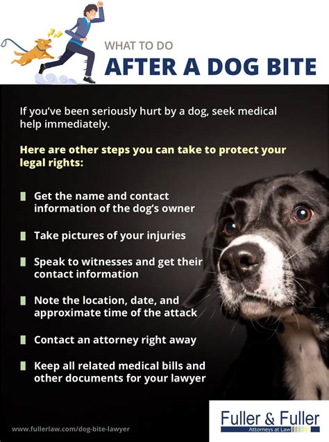 Steps To Take After A Dog Bite To Protect Your Rights