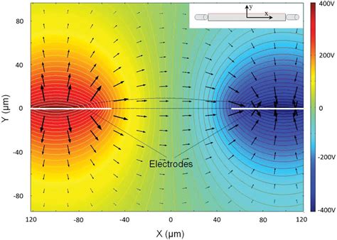 The simulation result of the electrical field and potential... | Download Scientific Diagram