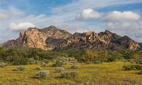 The Sonoran Desert: An Ecological & Geographical Marvel | LAC Geo