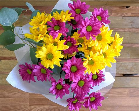 Flowers for Teachers: 10 Best Flowers that Every Teacher Deserves - Flower Delivery Hamilton Ontario