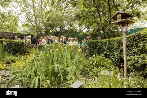 Downing street garden hi-res stock photography and images - Alamy