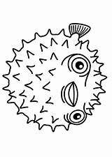 Coloring Page Porcupinefish  Free Printables Img 23090 sketch template