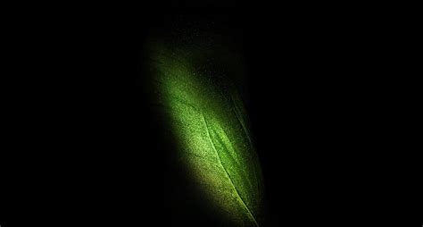 Samsung Galaxy Fold, leaf, green HD wallpaper | Pxfuel