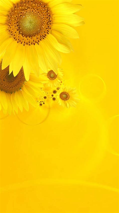 Details 68+ iphone 14 yellow wallpaper best - in.cdgdbentre