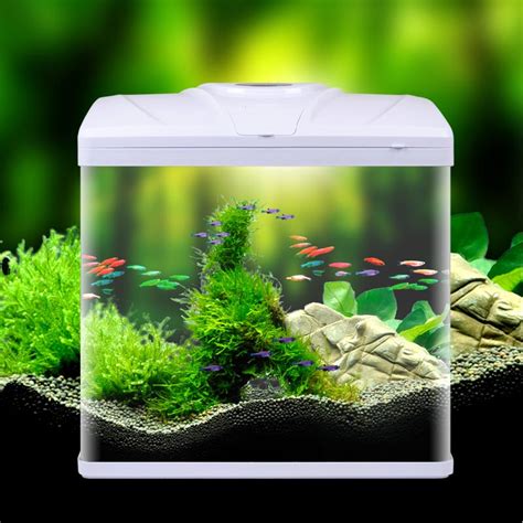 Small Aquarium Fish Tank | Aquarium Design Ideas