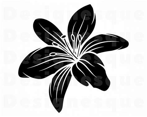 Free Lily Flower Svg Files