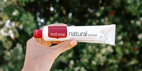 Natural SLS Free Toothpaste 110g