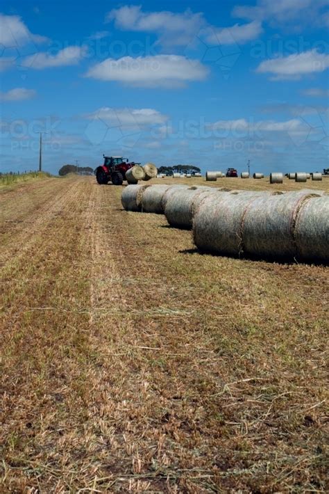 Image of Oat and Hay Bales on farm - Austockphoto