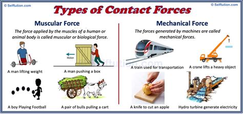 Types of Forces in Physics with Examples » Selftution