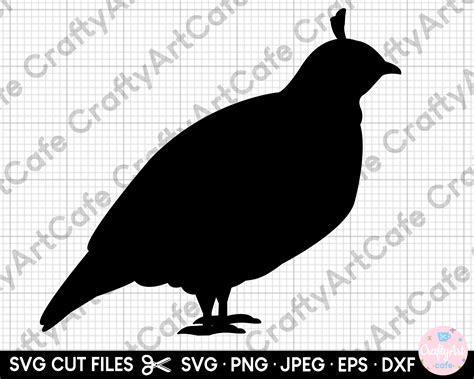 Quail Silhouette Svg Quail Silhouette Png Quail Cut File for Cricut ...