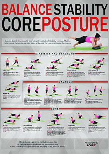 Core Stability Balance Trainers Posture Training Chart all sports types and abilities * Continue ...