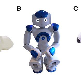 | Examples of social robots. (A) PARO (AIST, Japan); (B) NAO (Softbank... | Download Scientific ...