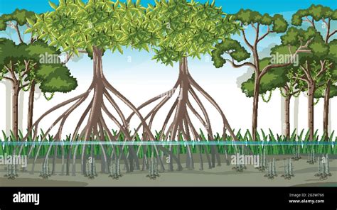 Mangrove Cartoon