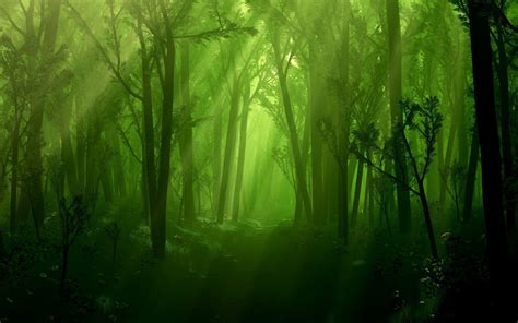 Cartoon Forest Wallpapers - Top Free Cartoon Forest Backgrounds ...