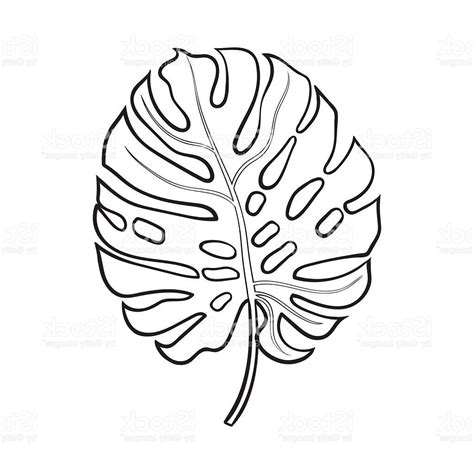 Palm Leaf Drawing at GetDrawings | Free download