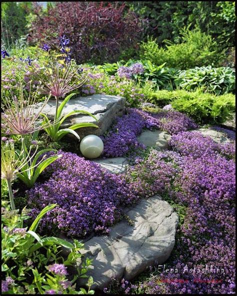 1000+ images about Rock Gardens & Ground Covers on Pinterest | Gardens ...