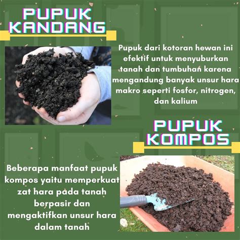 Pupuk Organik #1 | Pupuk kompos, Pertanian organik, Pupuk organik